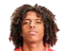 https://img.dlesj.com/img/football/player/135ad8787fd13961a93e165e79e736ff.png