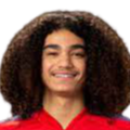 https://img.dlesj.com/img/football/player/87359ed9061cfd73513d827263deebcd.png