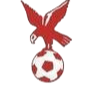 https://img.dlesj.com/img/football/team/4802d26df935b78bb2fcdbbff36e8864.png